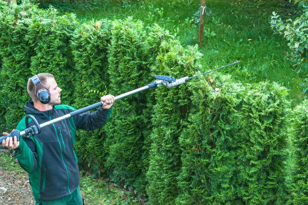 Tuin en Landschap 24 Handgedragen accubladblazers