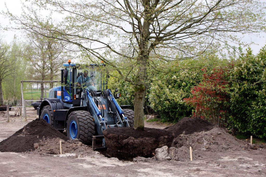 Tuin en Landschap 9 Luxe tuinen