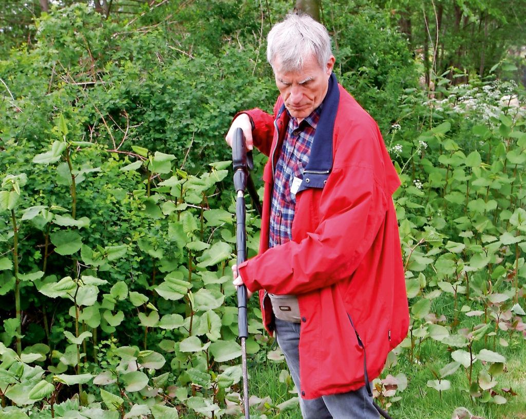 tuin en landschap