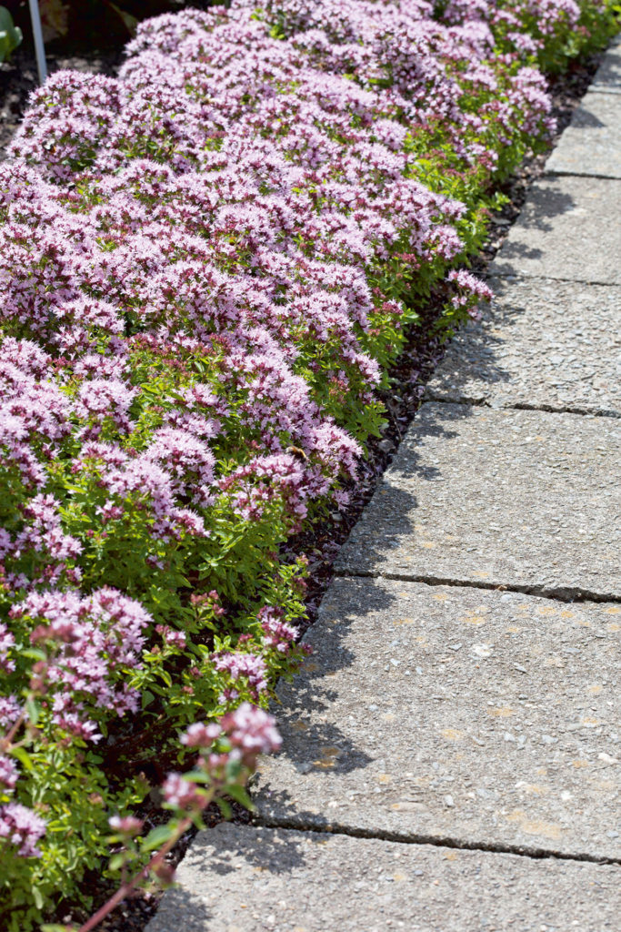 Tuin en Landschap 6 Stikstof verstikt